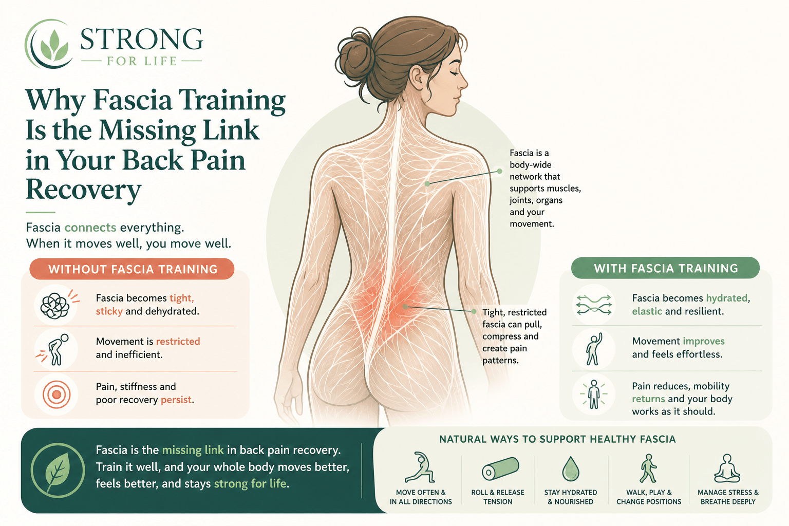 Fascia and Back Pain