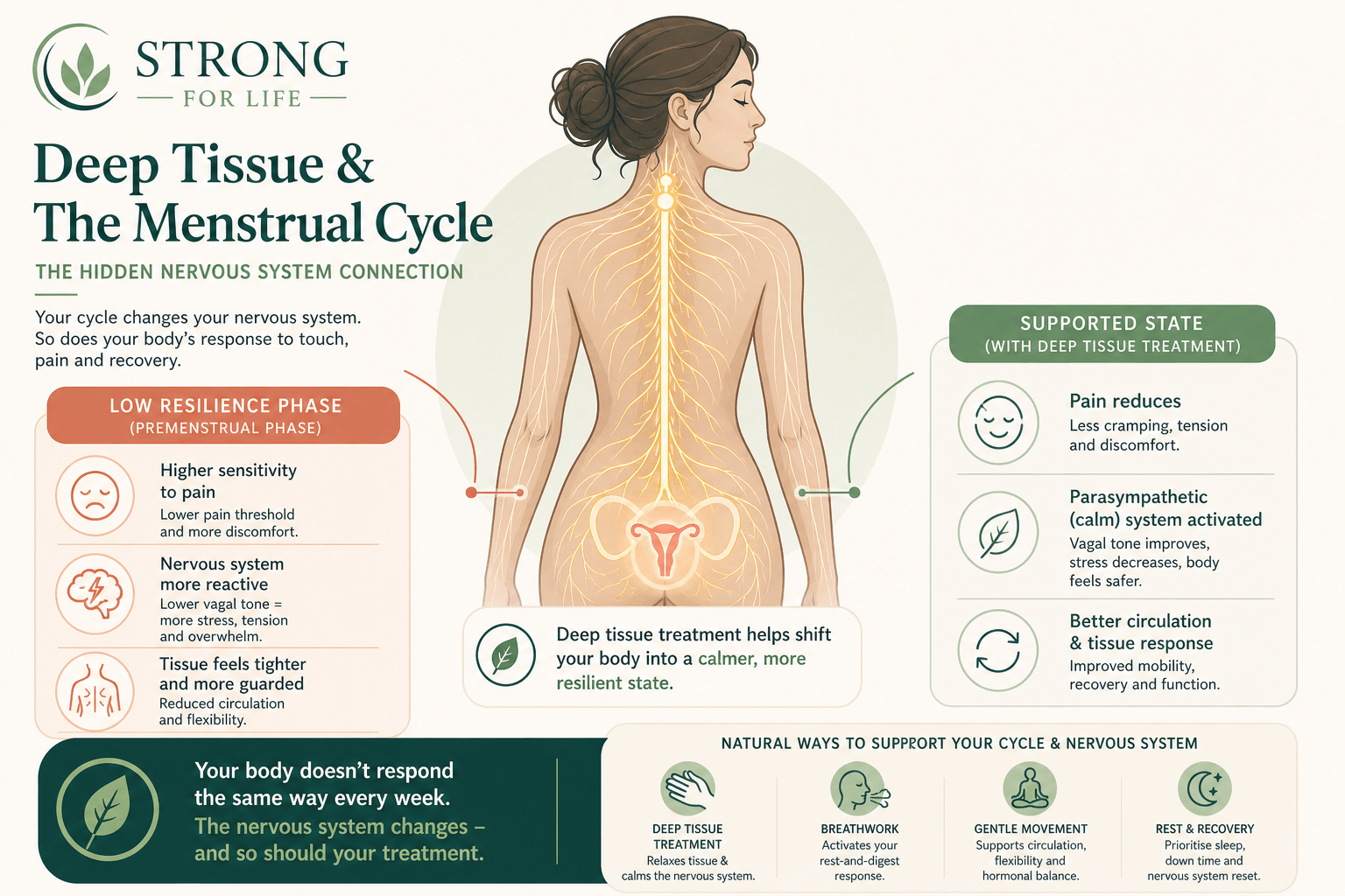 Strength Training and Menstrual Cycle